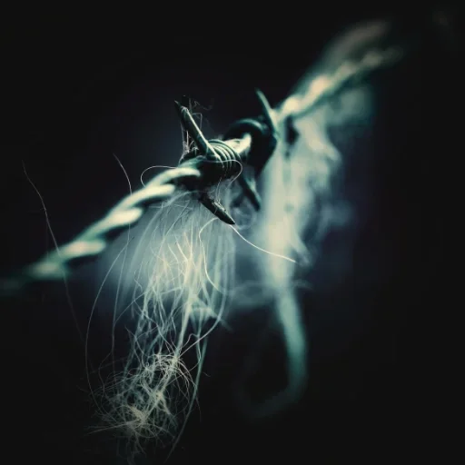 Étreinte nouée - Fibres végétales entrelacées dans une lumière spectrale, pièce photographique sur toile par Sebastian D