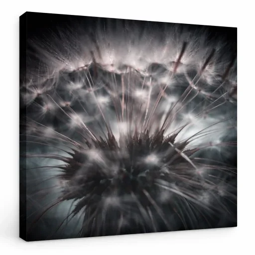 Ephemeral Halo - Detail of the Ephemeral Halo canvas print — high-definition pigment print, signed small-run piece
