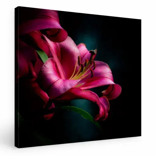 Scarlet Whisper - Detail of the Scarlet Whisper canvas print — Fine Art archival pigment print, signed small-run edition