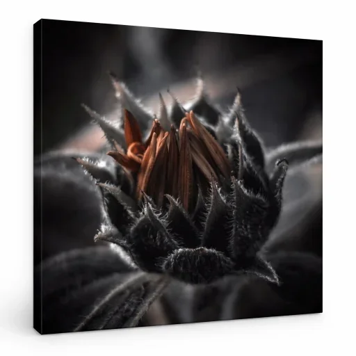 Thorned Sentinel - Detail of the Thorned Sentinel canvas print — hand-written authentication, small series by 