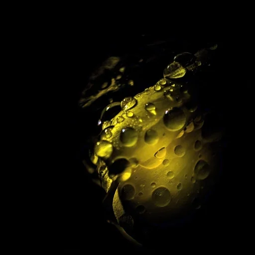 Gouden druppels - Gouden bloem met gefragmenteerde lichtreflecties, artistieke impressie op canvas door 
