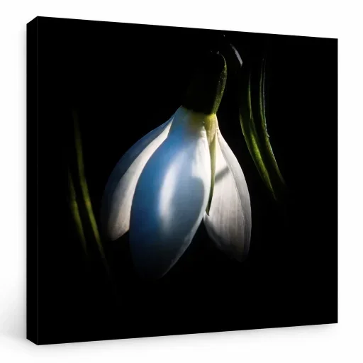 Larme d'hiver - Détail du tirage sur toile Larme d'hiver — pigmentaire haute définition, pièce signée en édition limitée